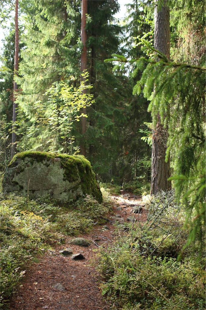 f:id:mizubelog:20180925164646j:image