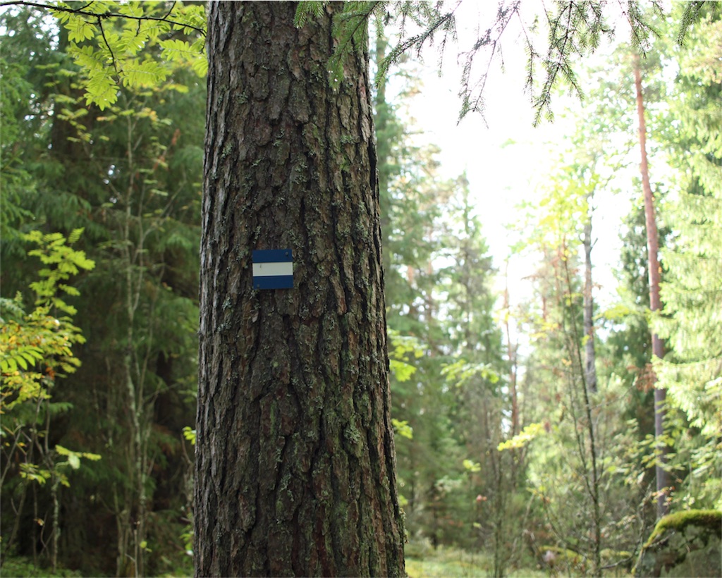 f:id:mizubelog:20180925164651j:image