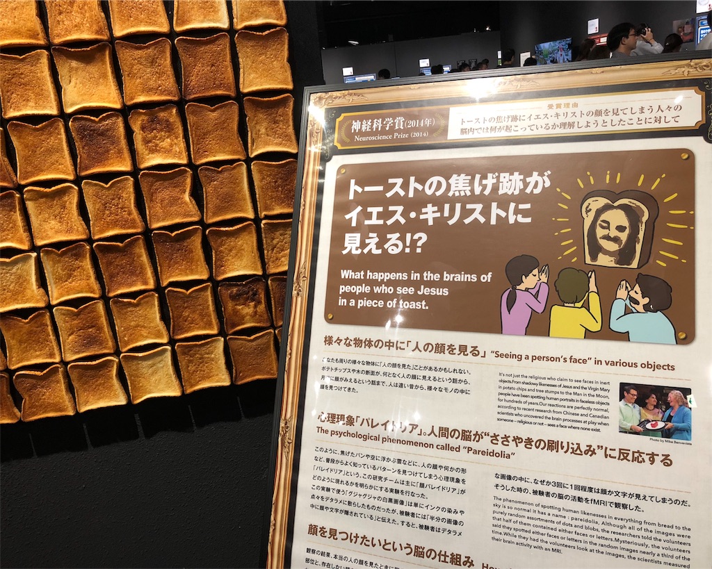 f:id:mizubelog:20181015090348j:image