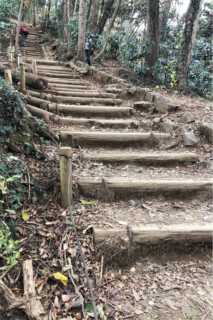 f:id:mizubelog:20181203184904j:image