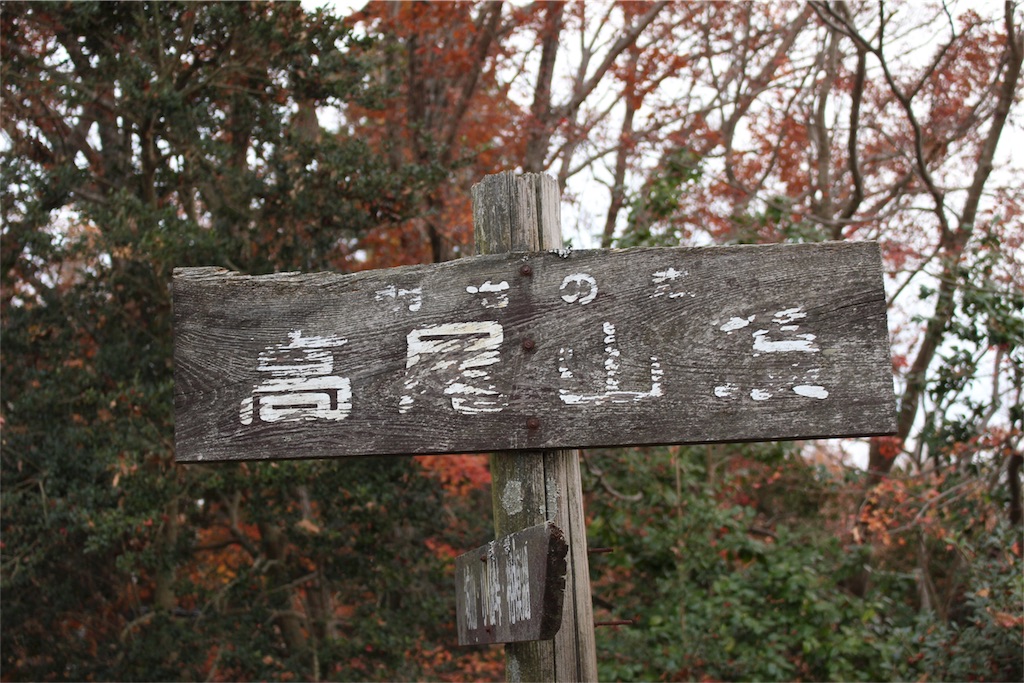 f:id:mizubelog:20181203184908j:image