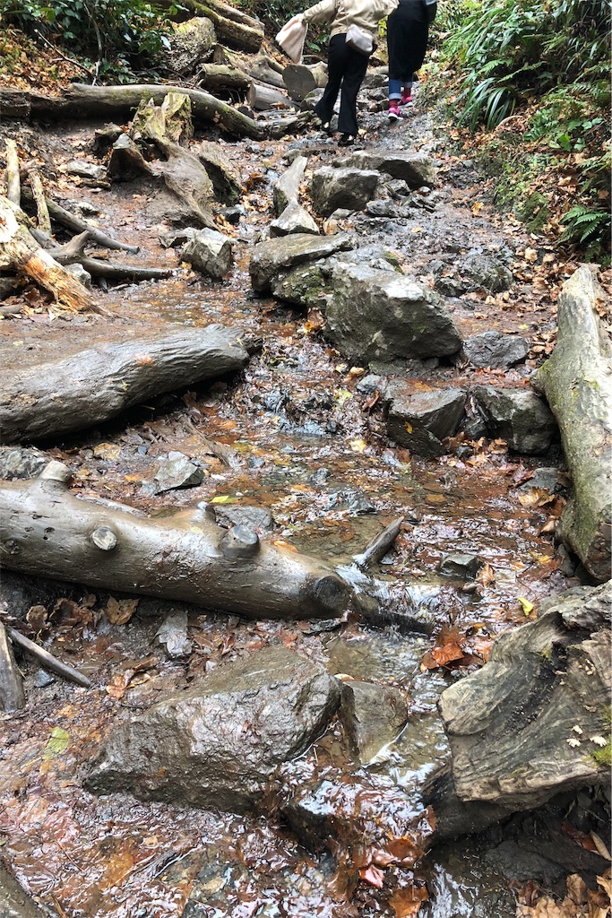 f:id:mizubelog:20181203184913j:image