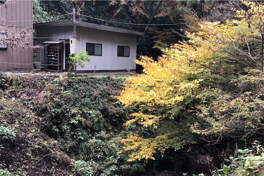 f:id:mizubelog:20181203184920j:image