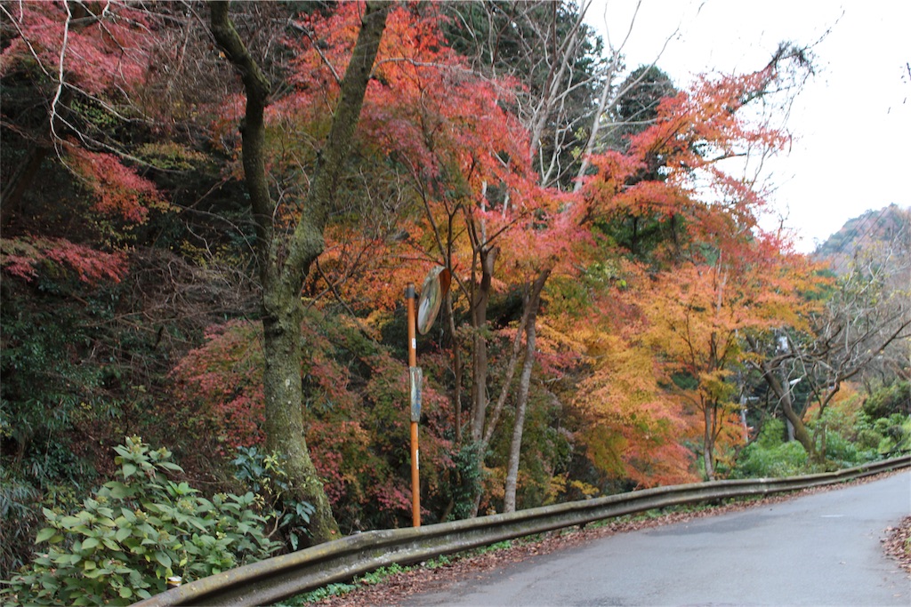 f:id:mizubelog:20181203184942j:image