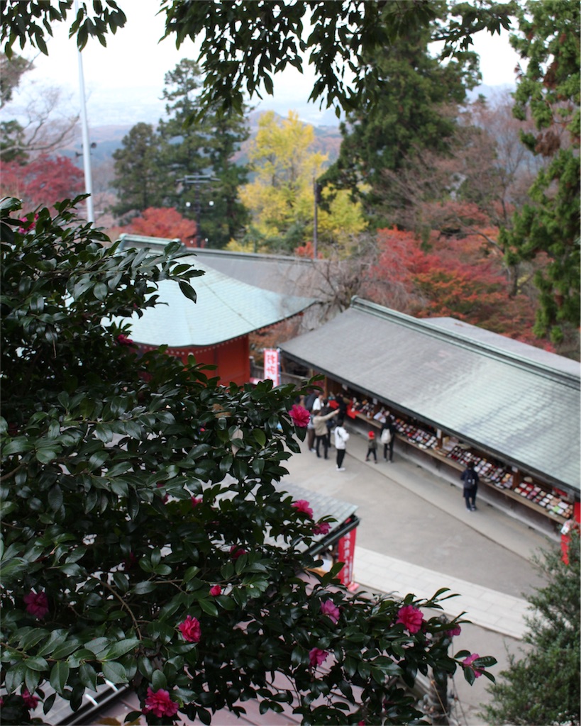 f:id:mizubelog:20181203185056j:image