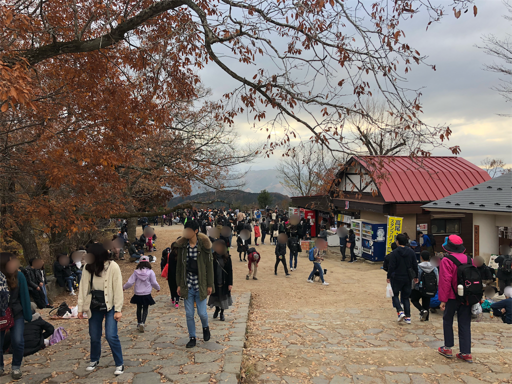 f:id:mizubelog:20181203185146p:image