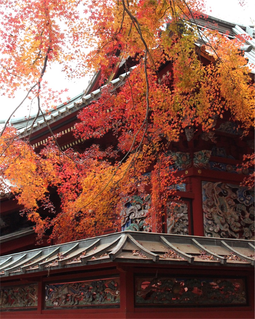 f:id:mizubelog:20181203185153j:image