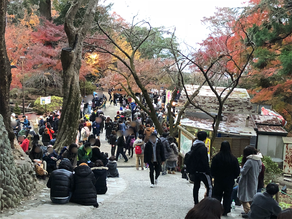 f:id:mizubelog:20181203185236p:image