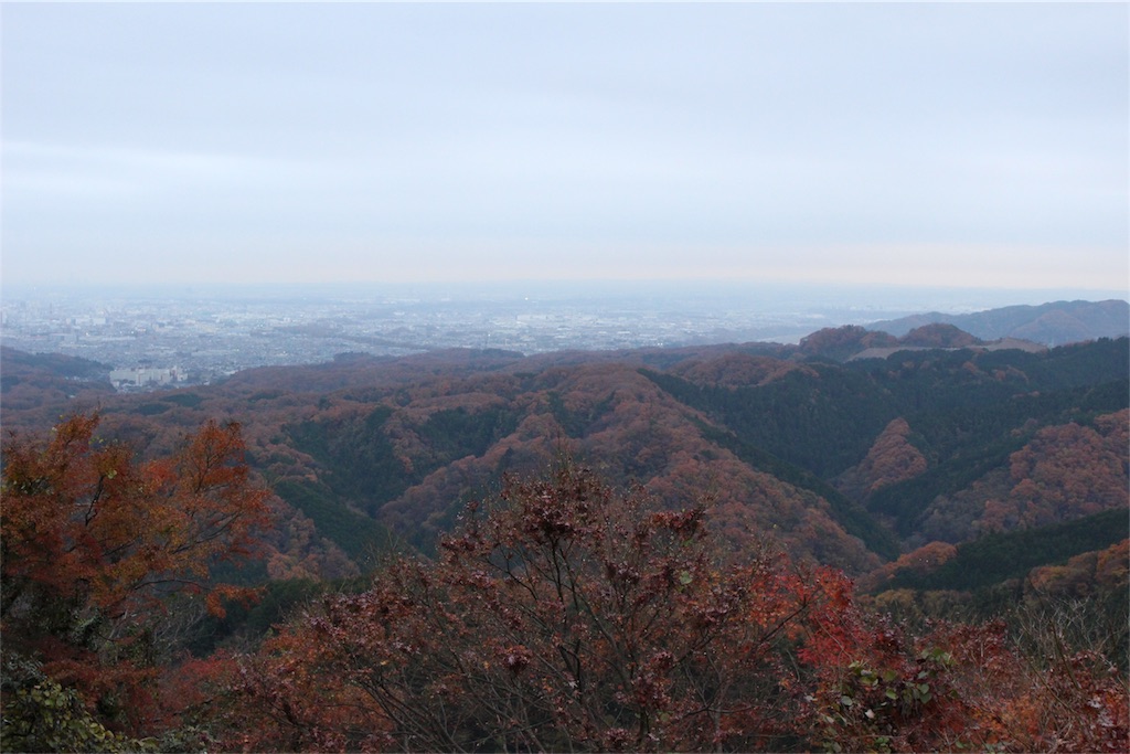 f:id:mizubelog:20181203185244j:image