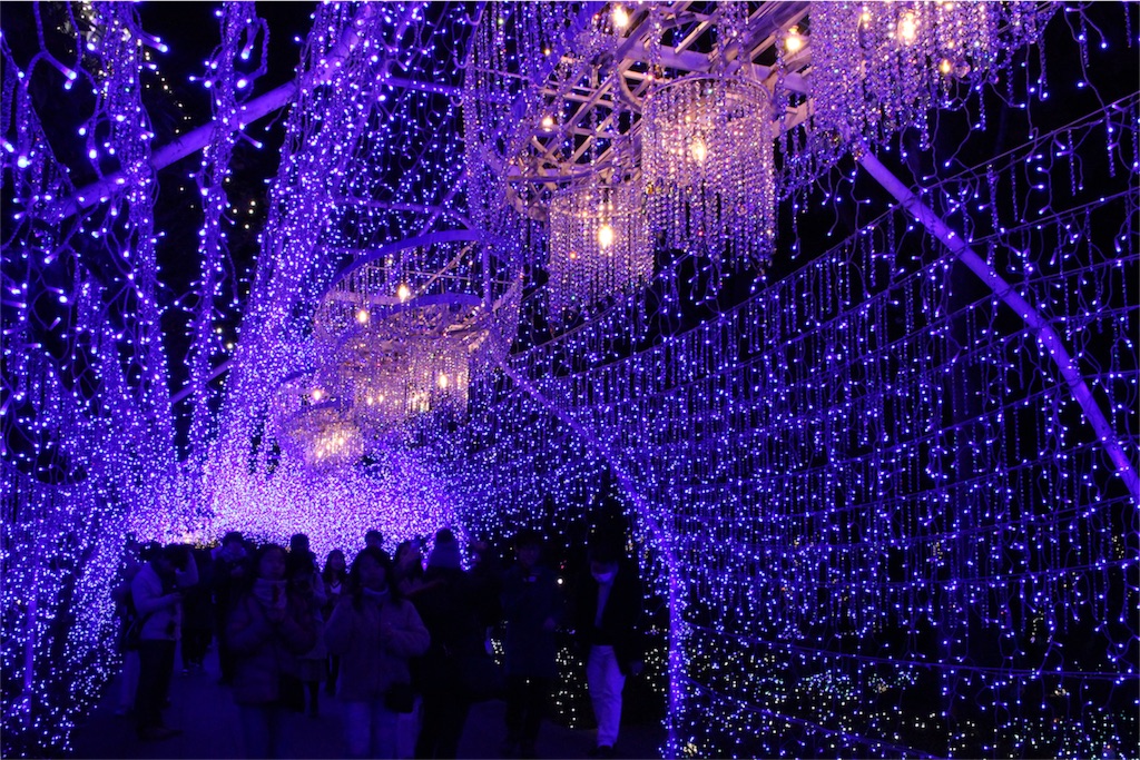 f:id:mizubelog:20181210030826j:image