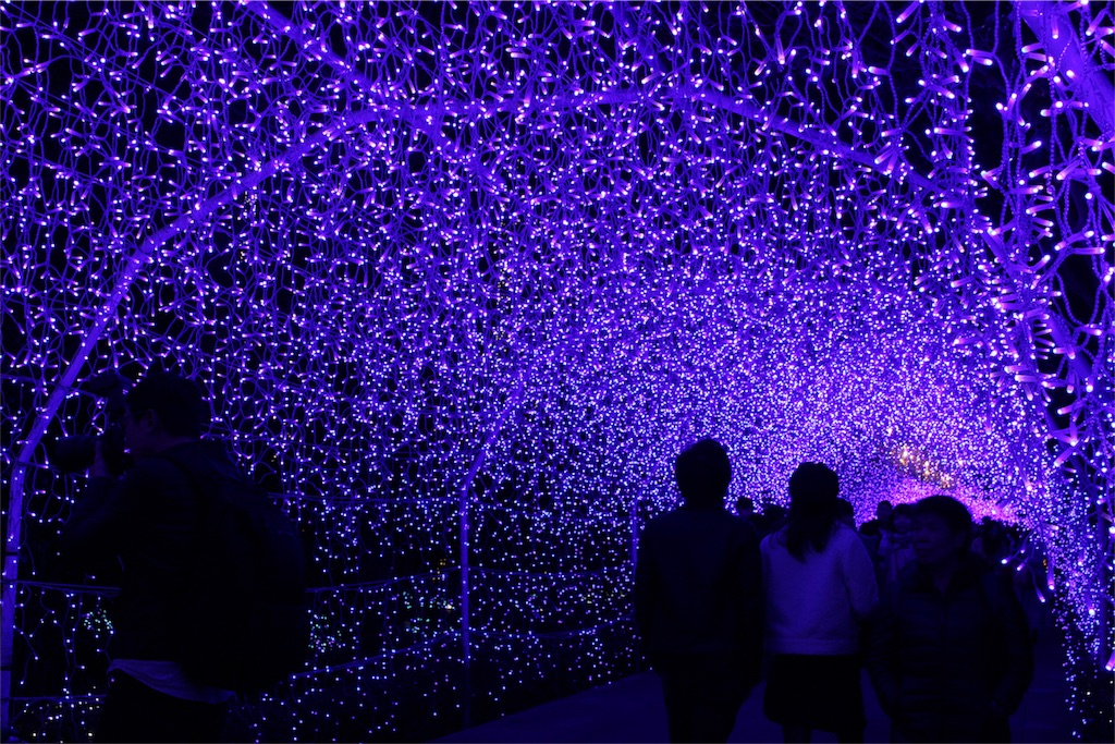 f:id:mizubelog:20181210030834j:image