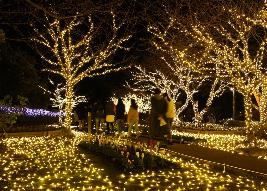 f:id:mizubelog:20181210030842j:image