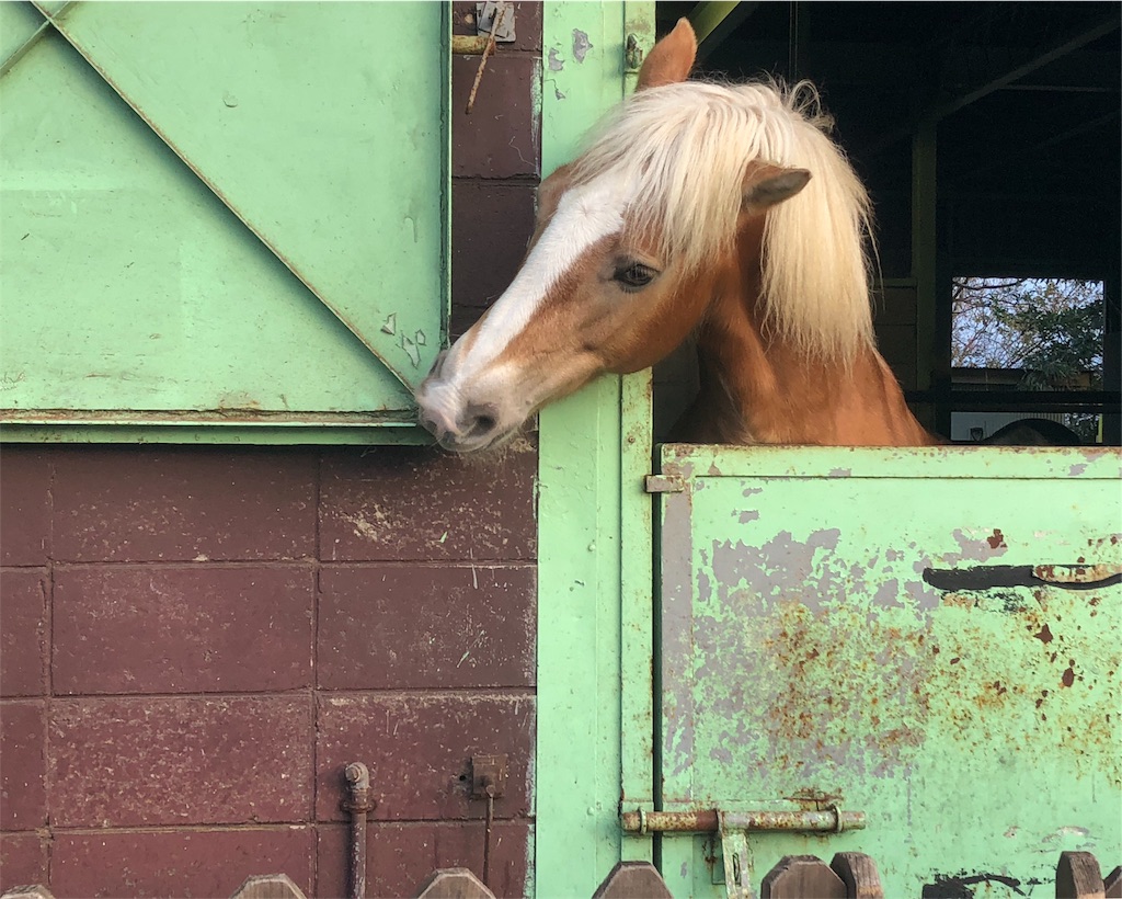 f:id:mizubelog:20181217004234j:image