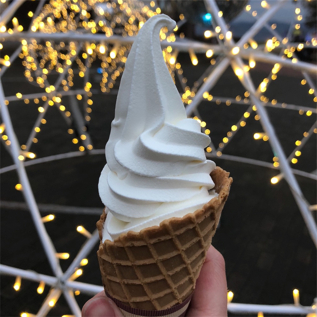 f:id:mizubelog:20181217004242j:image