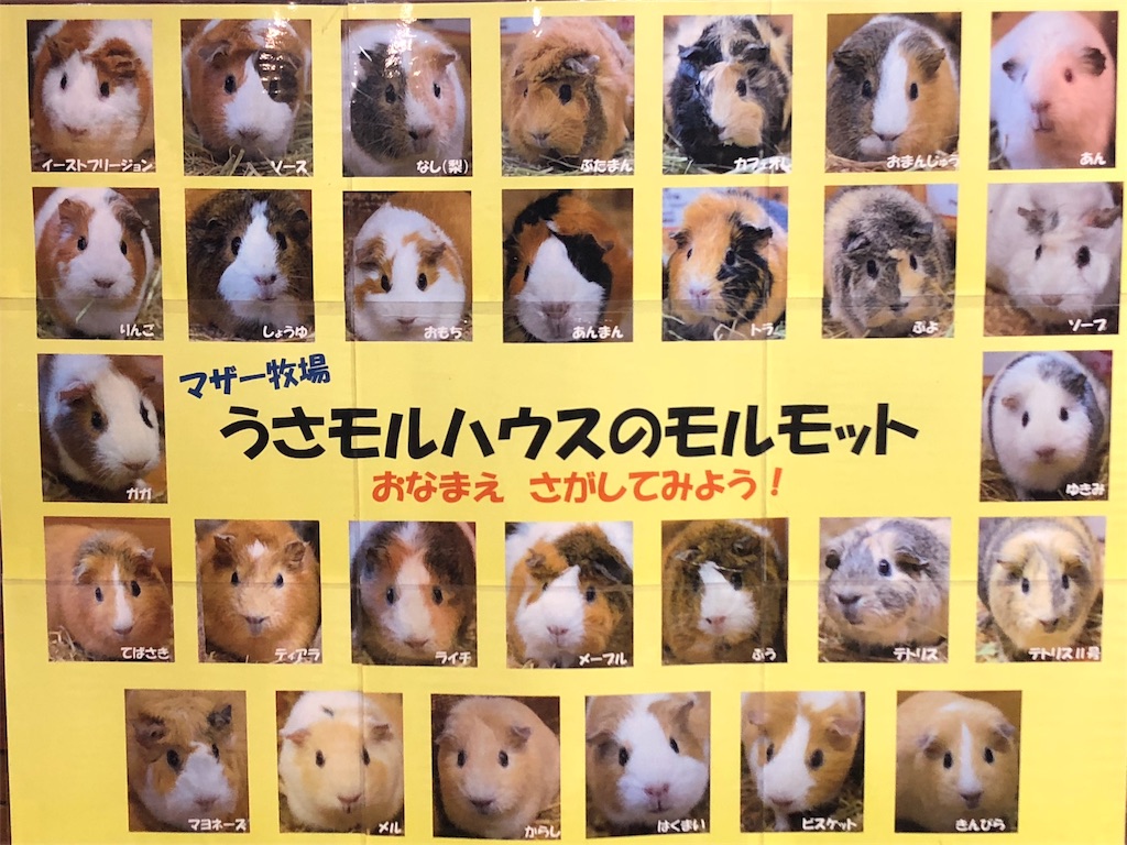 f:id:mizubelog:20181217004256j:image