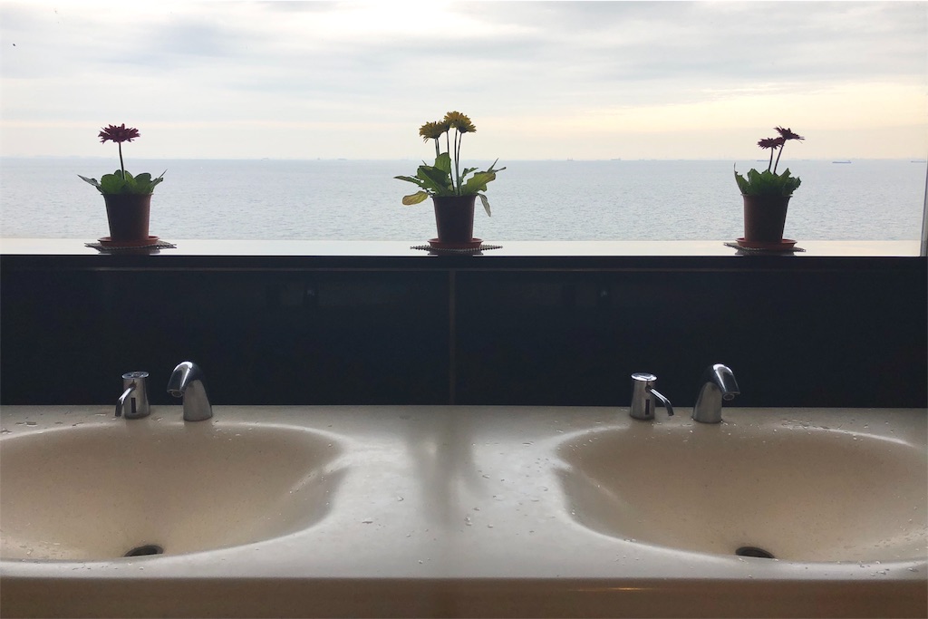 f:id:mizubelog:20181217004304j:image