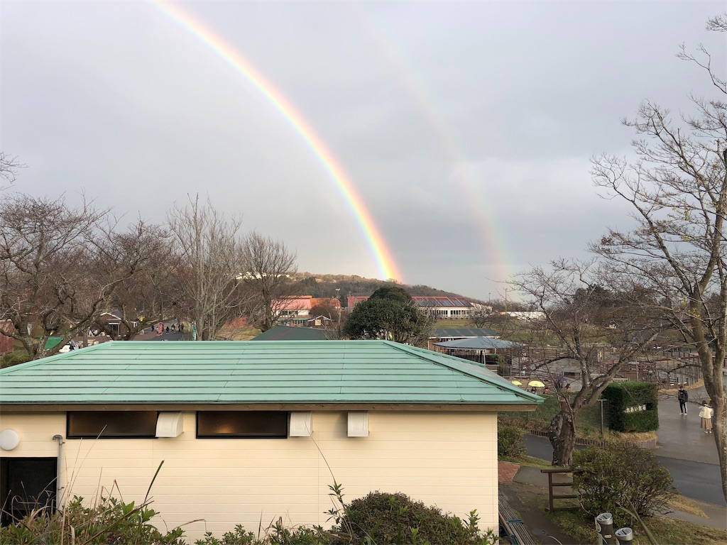 f:id:mizubelog:20181217004319j:image