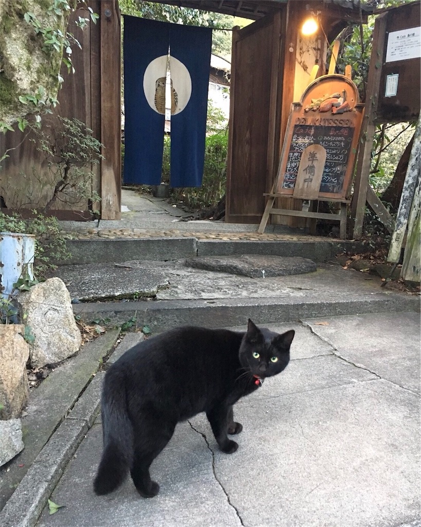f:id:mizubelog:20181220194855j:image