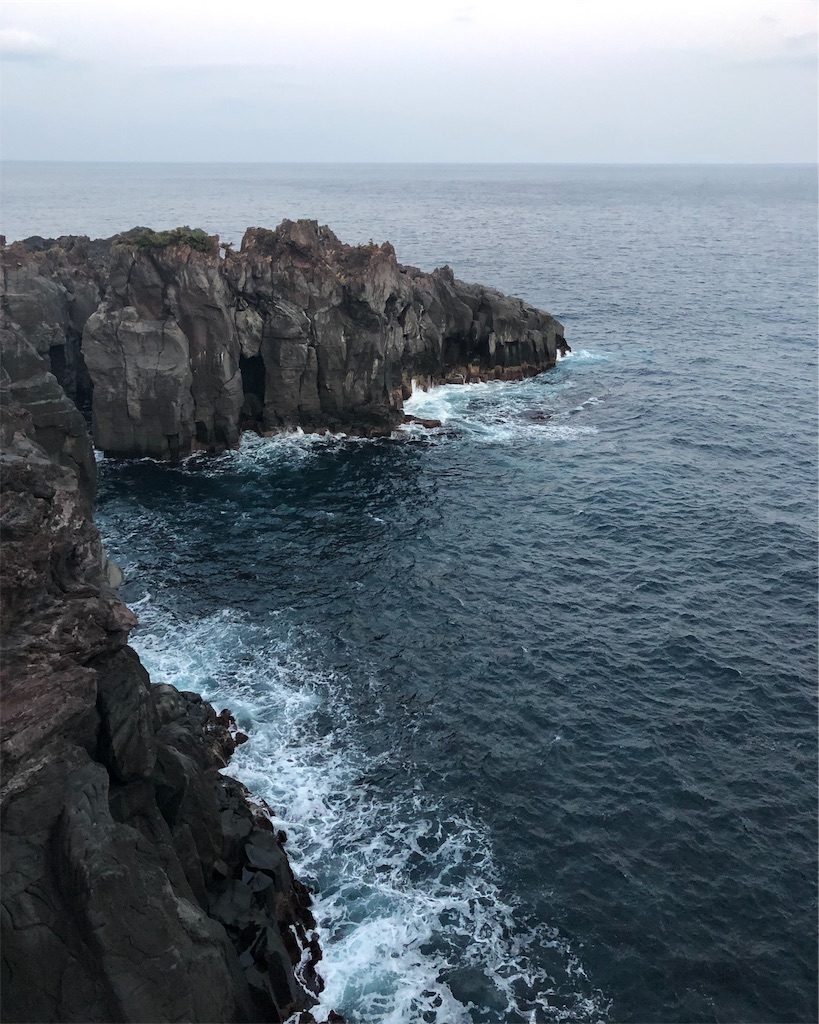 f:id:mizubelog:20190224231612j:image