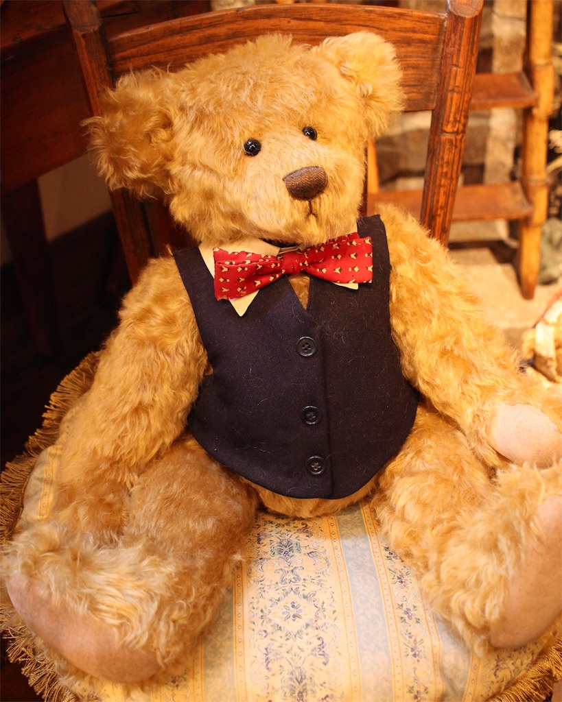 f:id:mizubelog:20190224231617j:image