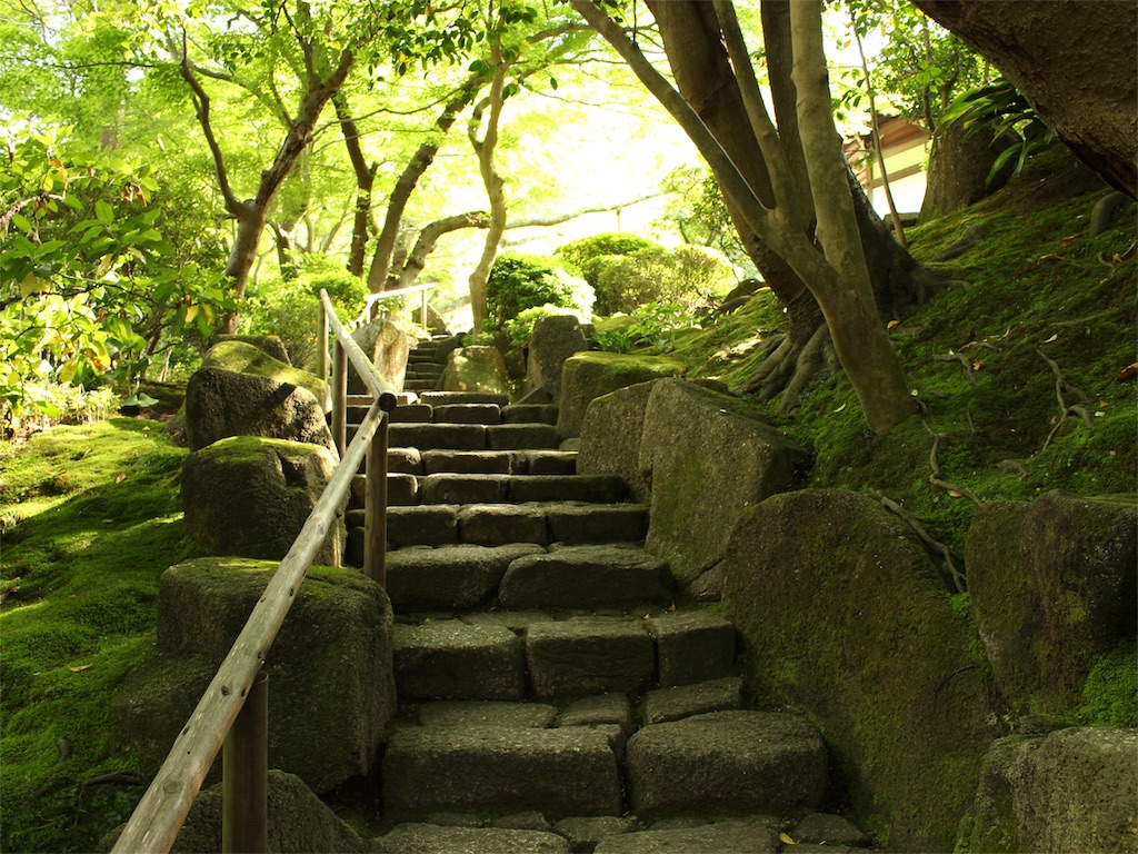 f:id:mizubelog:20190517210446j:image f:id:mizubelog:20190517210446j:image