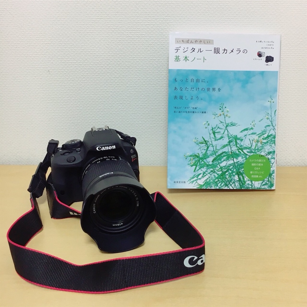 f:id:mizubelog:20190623231708j:image