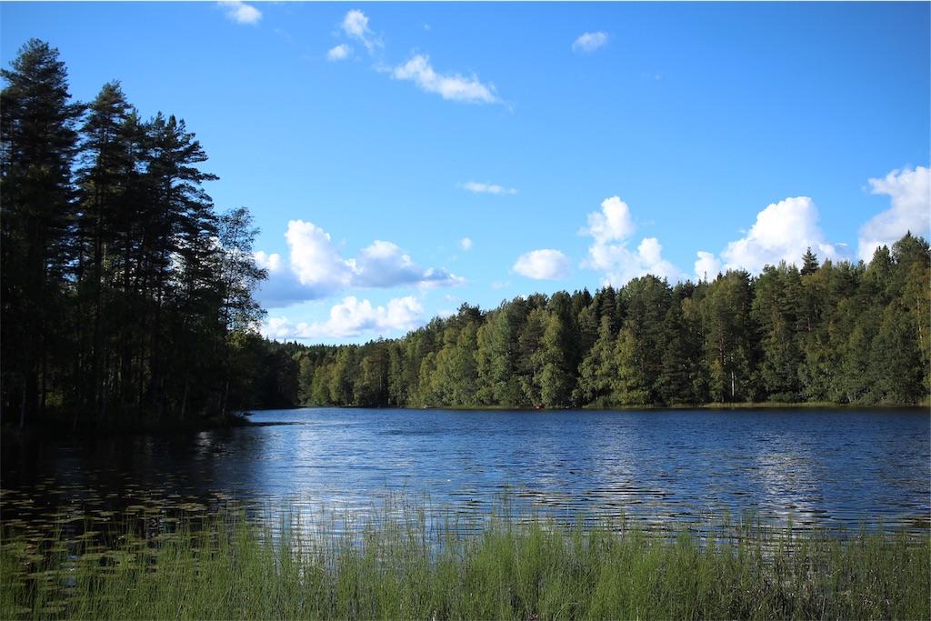 f:id:mizubelog:20190623231824j:image