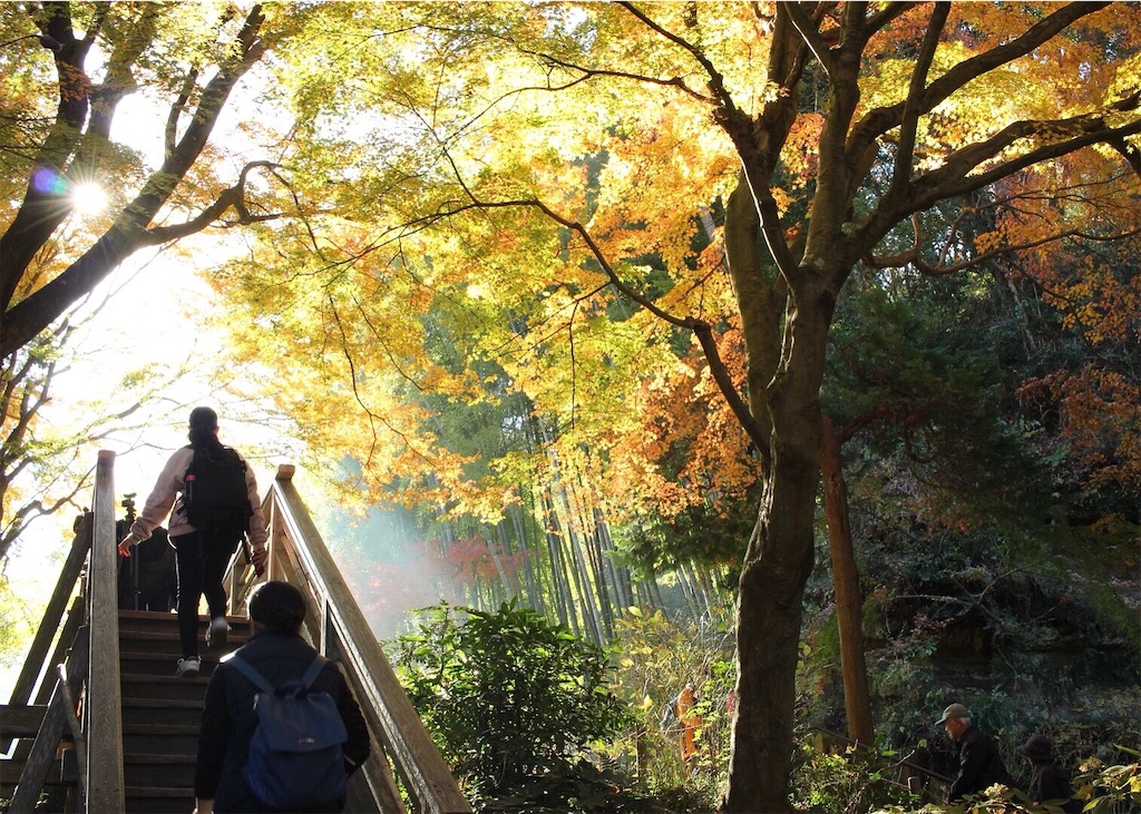 f:id:mizubelog:20190623232102j:image