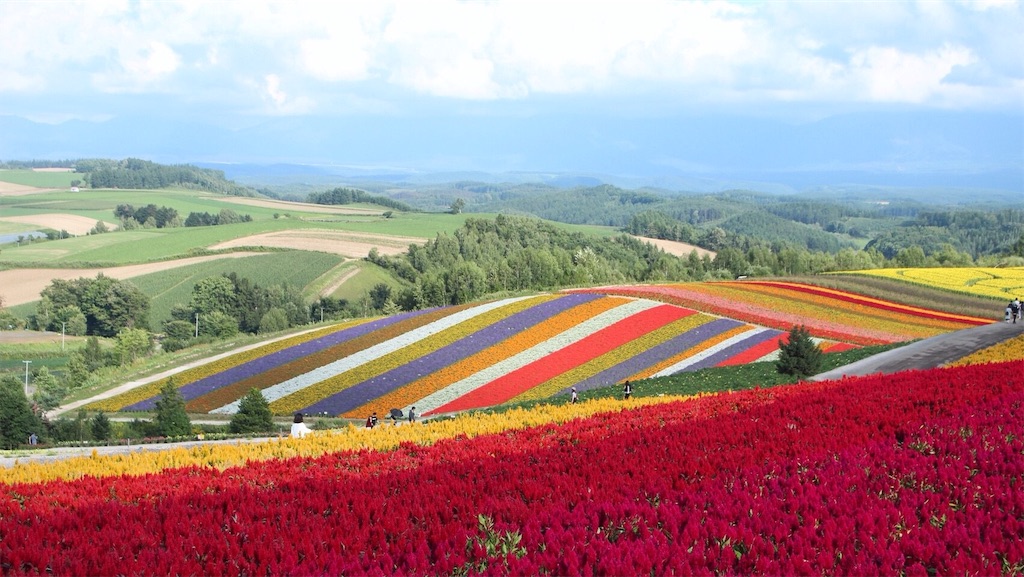 f:id:mizubelog:20190623232717j:image