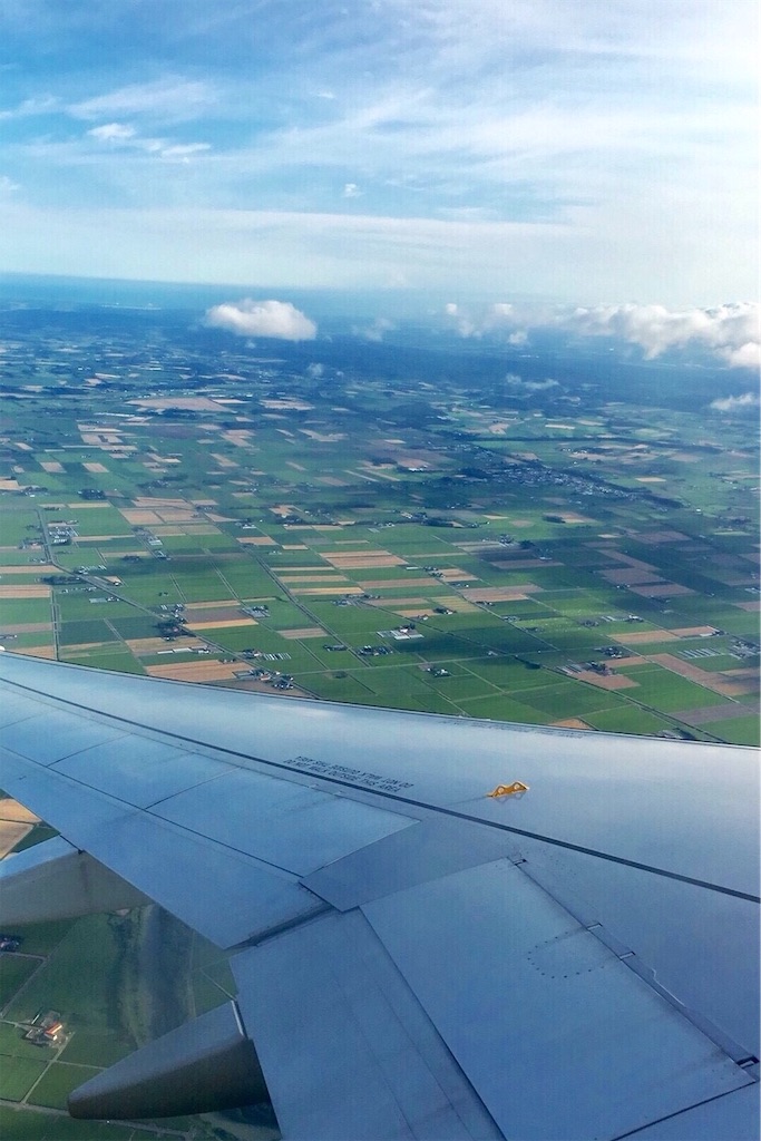 f:id:mizubelog:20190624010937j:image