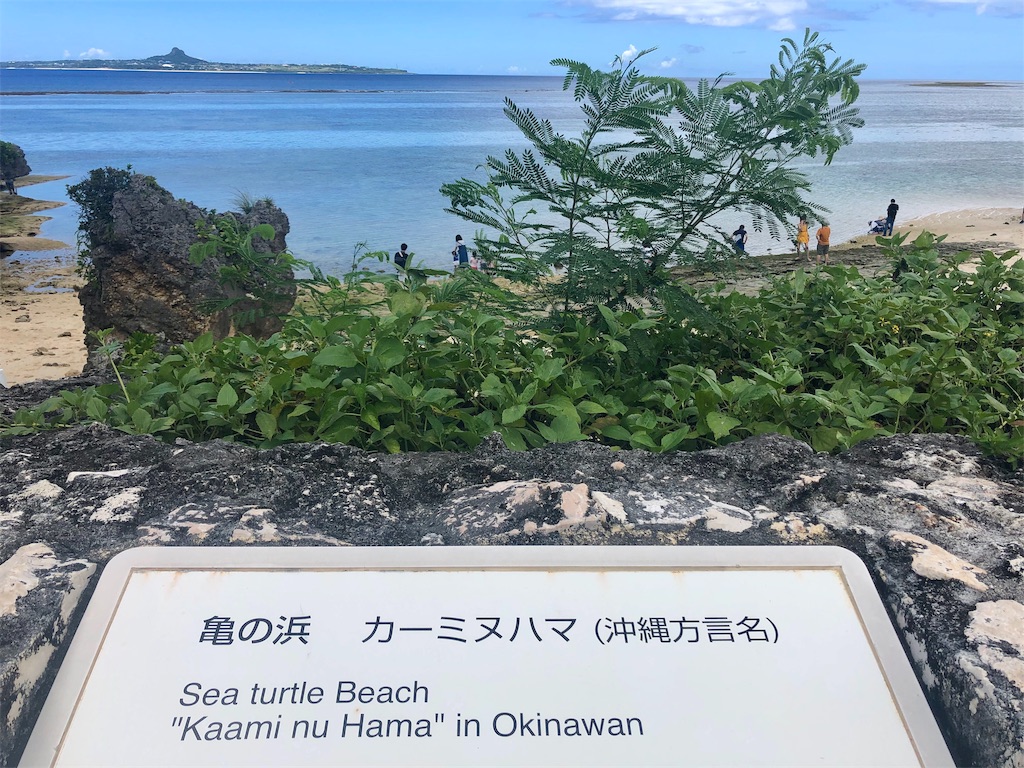 f:id:mizubelog:20190801125617j:image