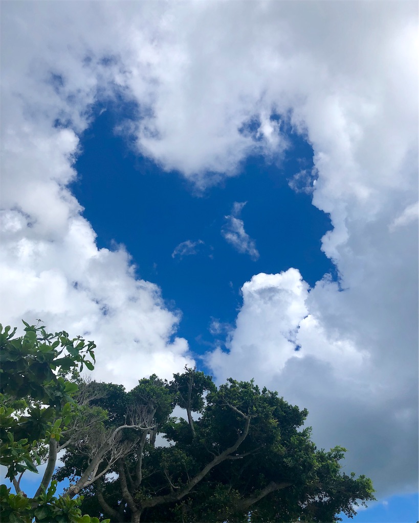 f:id:mizubelog:20190801130351j:image
