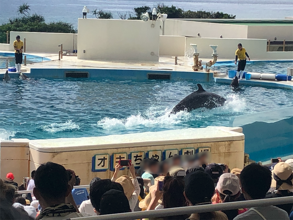 f:id:mizubelog:20190801130356p:image