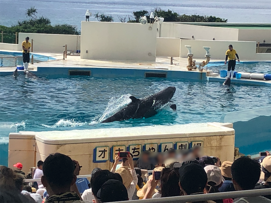f:id:mizubelog:20190801130416p:image