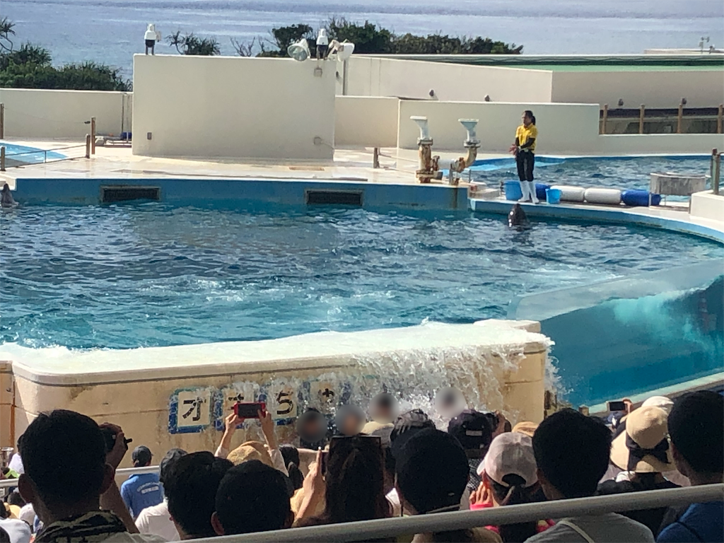 f:id:mizubelog:20190801130454p:image
