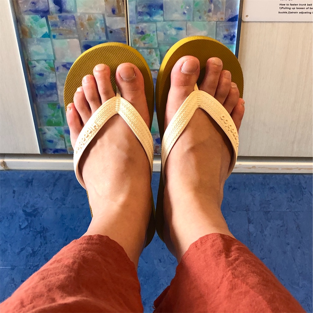 f:id:mizubelog:20190801133448j:image f:id:mizubelog:20190801133448j:image