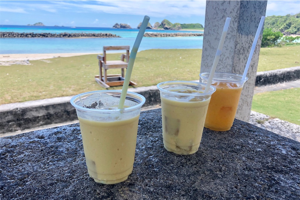 f:id:mizubelog:20190801134033j:image