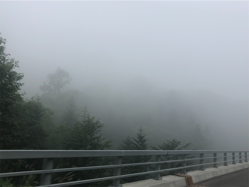 f:id:mizubelog:20190813151516j:image