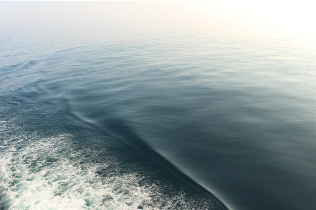 f:id:mizubelog:20190814191820j:image f:id:mizubelog:20190814191820j:image