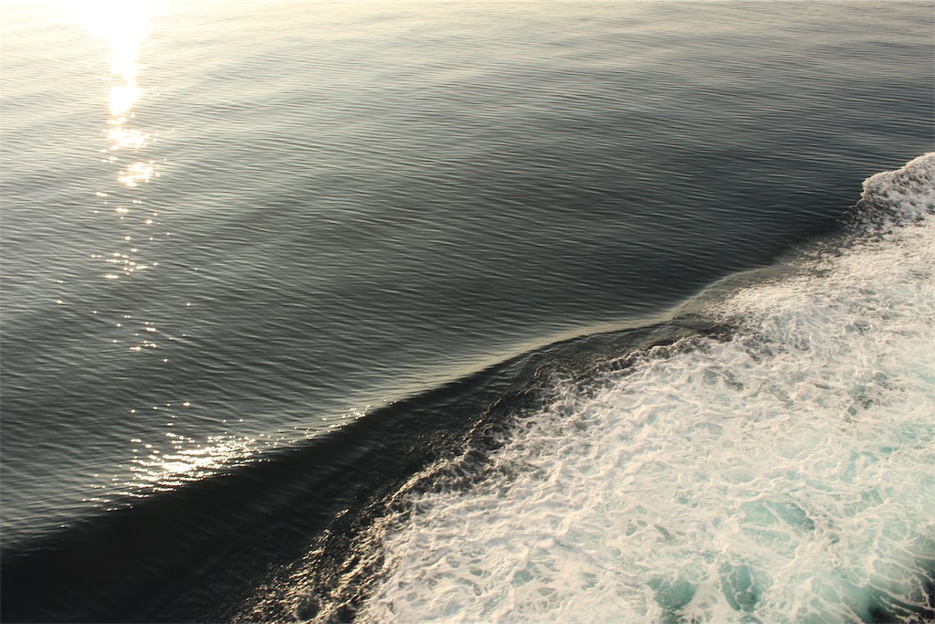 f:id:mizubelog:20190814191844j:image f:id:mizubelog:20190814191844j:image