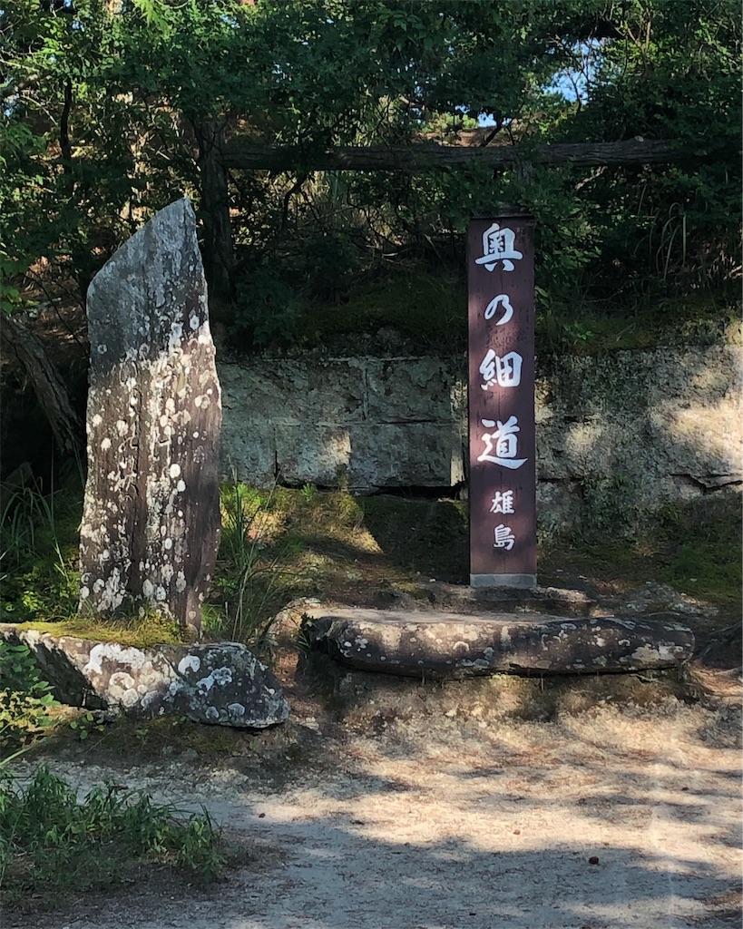 f:id:mizubelog:20190814214750j:image