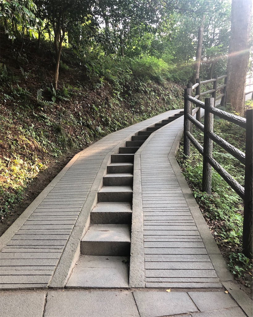 f:id:mizubelog:20190814215113j:image