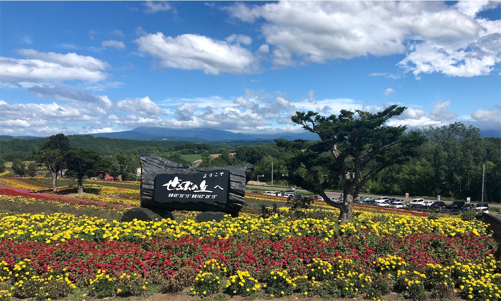 f:id:mizubelog:20190816223706j:image