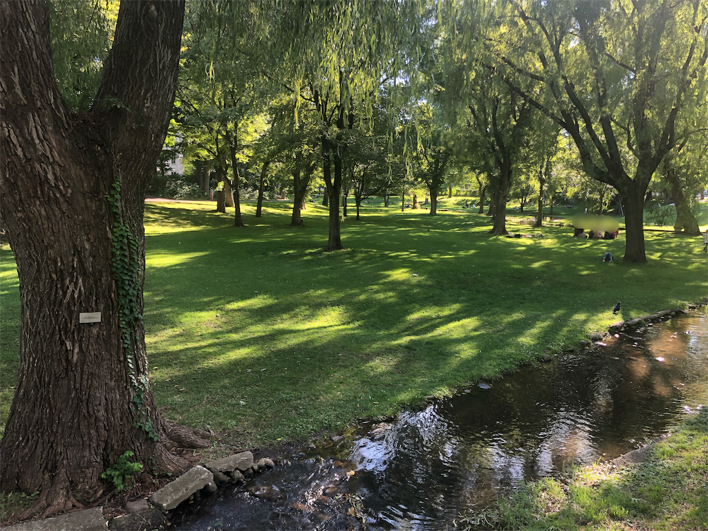 f:id:mizubelog:20190817183246p:image
