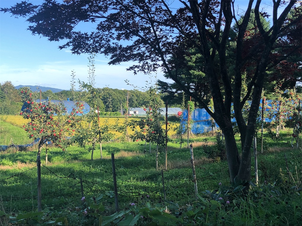 f:id:mizubelog:20190910000952j:image f:id:mizubelog:20190910000952j:image