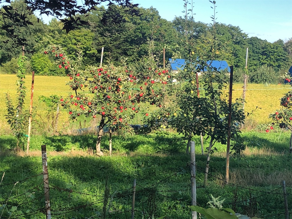 f:id:mizubelog:20190910000954j:image f:id:mizubelog:20190910000954j:image