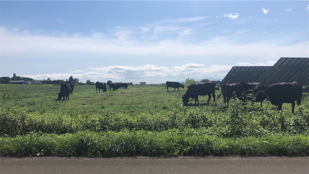 f:id:mizubelog:20190910001002j:image f:id:mizubelog:20190910001002j:image