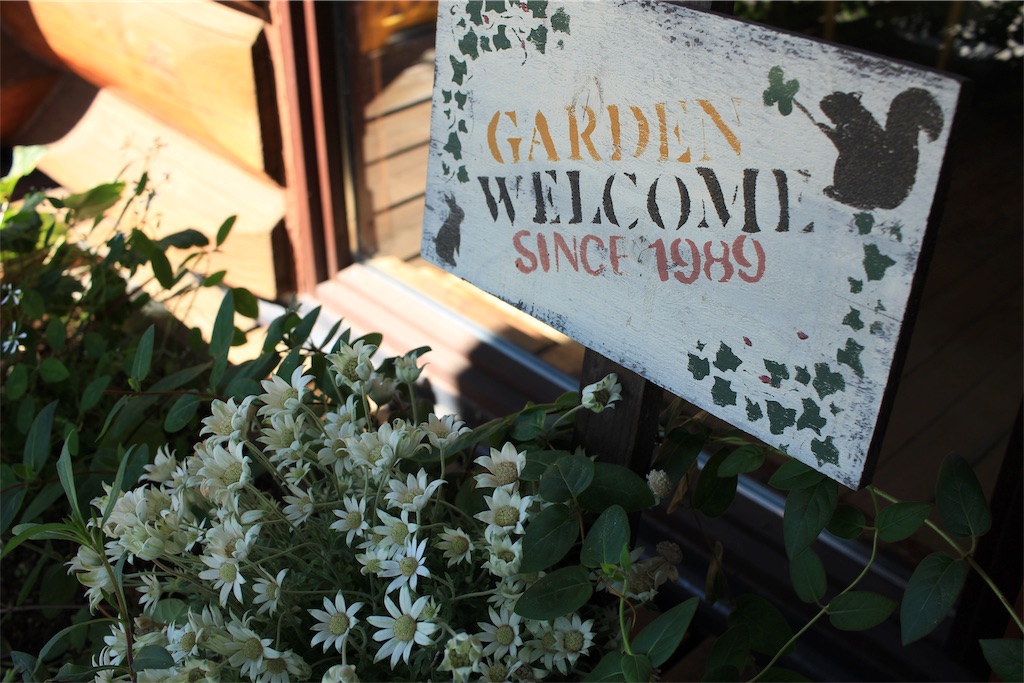 f:id:mizubelog:20190910001028j:image f:id:mizubelog:20190910001028j:image