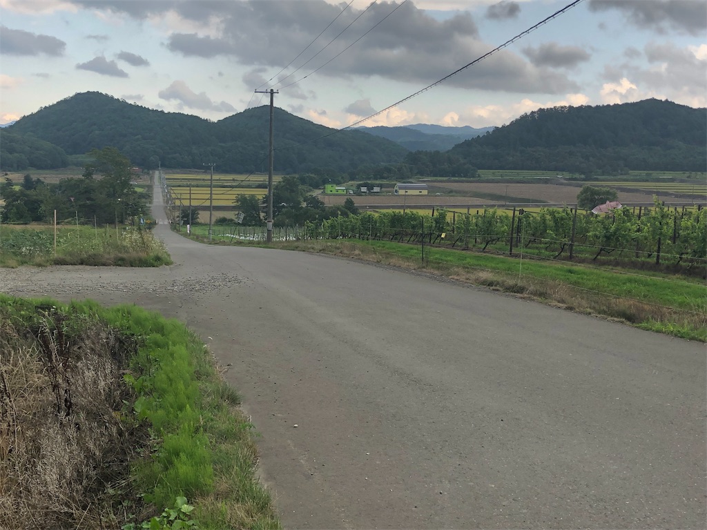 f:id:mizubelog:20190910002449j:image