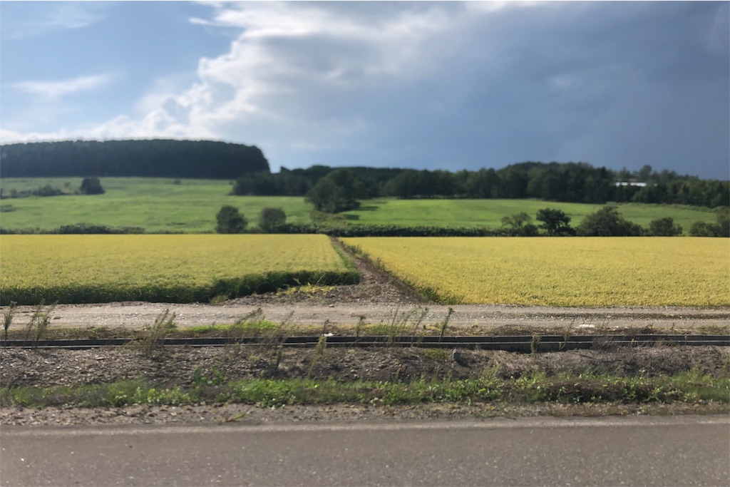 f:id:mizubelog:20190910002525j:image